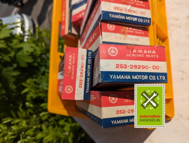 PXL_20240510_142559197